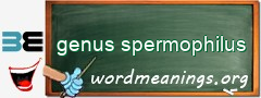 WordMeaning blackboard for genus spermophilus